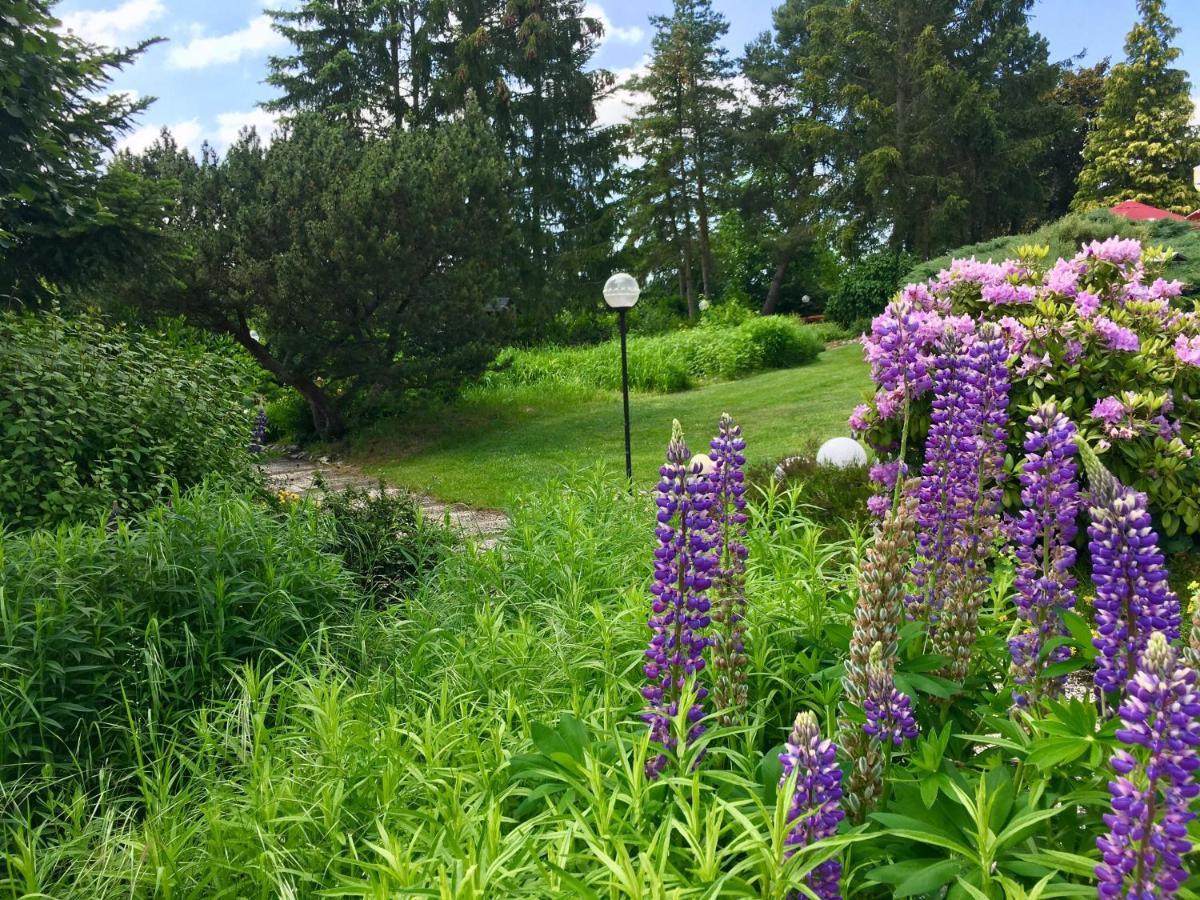 Hotel Hubertus 3*