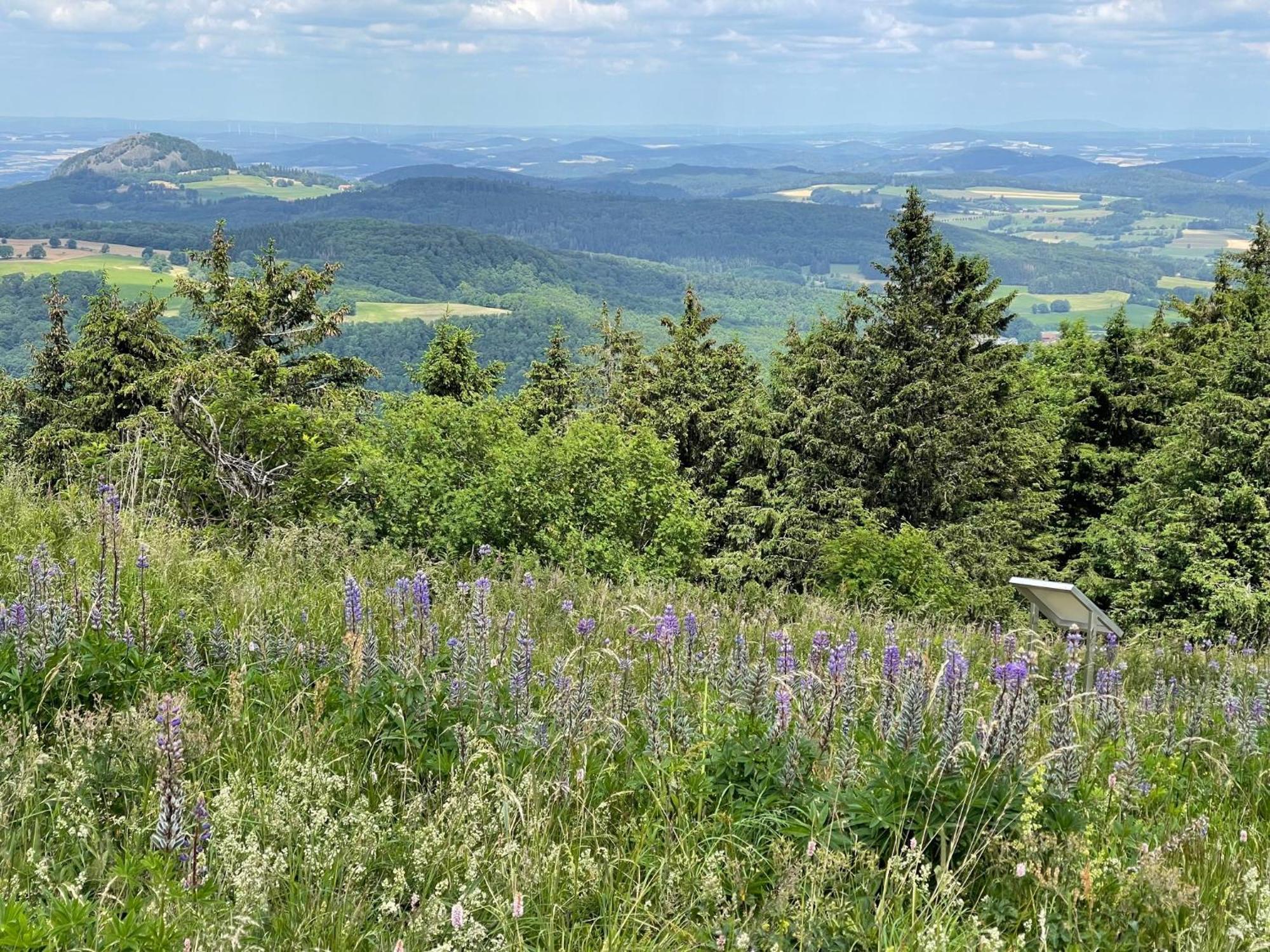 Hubertus 3*